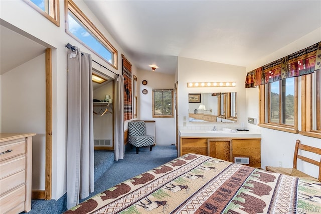 bathroom with vaulted ceiling and vanity