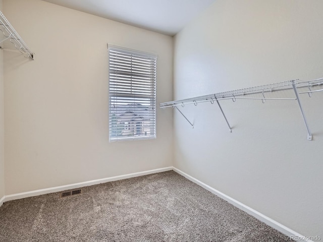 7496 Grady Cir, Castle Rock, CO 80108 - photo 25