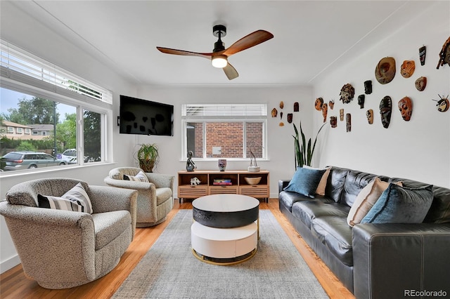 845 Jasmine St, Denver, CO 80220 - living room with light wood-type flooring and ceiling fan