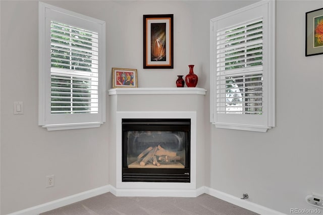845 Jasmine St, Denver, CO 80220 - detailed view of carpet and a glass covered fireplace