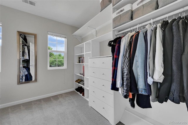845 Jasmine St, Denver, CO 80220 - walk in closet with carpet flooring
