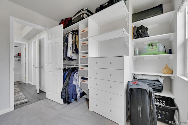 845 Jasmine St, Denver, CO 80220 - spacious closet featuring carpet