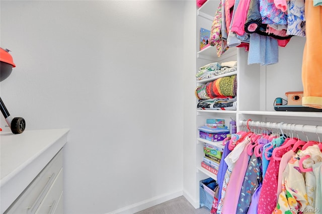 845 Jasmine St, Denver, CO 80220 - view of closet