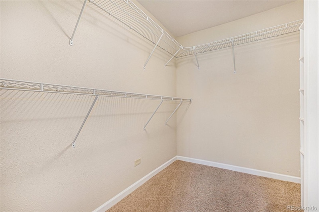 spacious closet with carpet