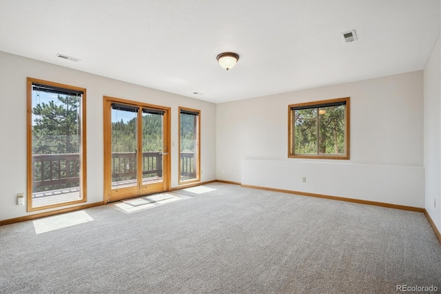 84 Sunny Ridge Ln, Bailey, CO 80421 - carpeted spare room featuring healthy amount of natural light