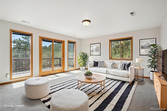 84 Sunny Ridge Ln, Bailey, CO 80421 - living room featuring plenty of natural light and carpet flooring