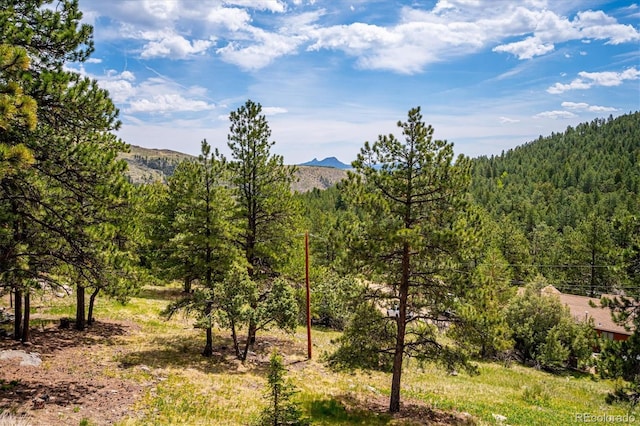 84 Sunny Ridge Ln, Bailey, CO 80421 - view of mountain background featuring a heavily wooded area