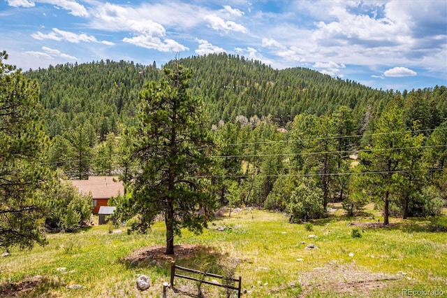 84 Sunny Ridge Ln, Bailey, CO 80421 - view of mountain background featuring a forest