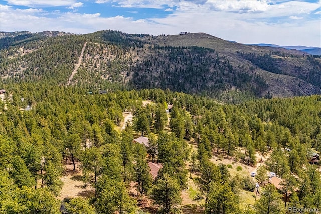 84 Sunny Ridge Ln, Bailey, CO 80421 - view of mountain background featuring a forest