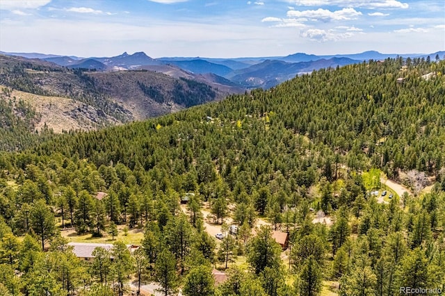 84 Sunny Ridge Ln, Bailey, CO 80421 - view of mountain background featuring a heavily wooded area