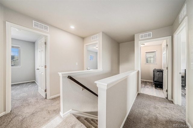 4089 Greenwood Ln, Johnstown, CO 80534 - photo 24
