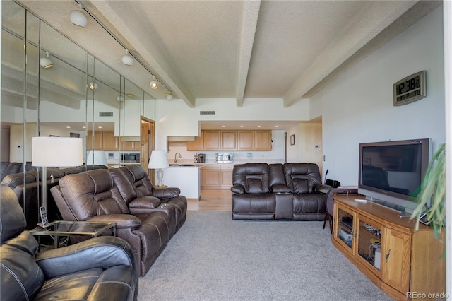 3675 S Cherokee St Unit 710, Englewood, CO 80110 - living area featuring light colored carpet, beamed ceiling, and a textured ceiling