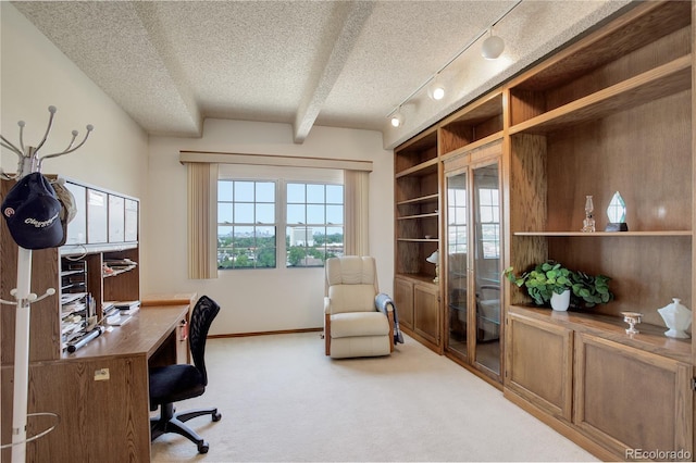 3675 S Cherokee St Unit 710, Englewood, CO 80110 - carpeted office space featuring a textured ceiling and baseboards