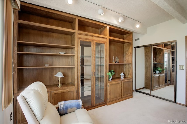 3675 S Cherokee St Unit 710, Englewood, CO 80110 - living area with light colored carpet and rail lighting