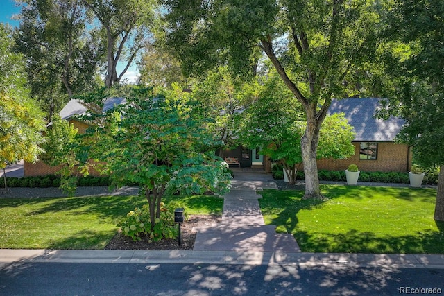 view of front of property with brick siding and a front yard