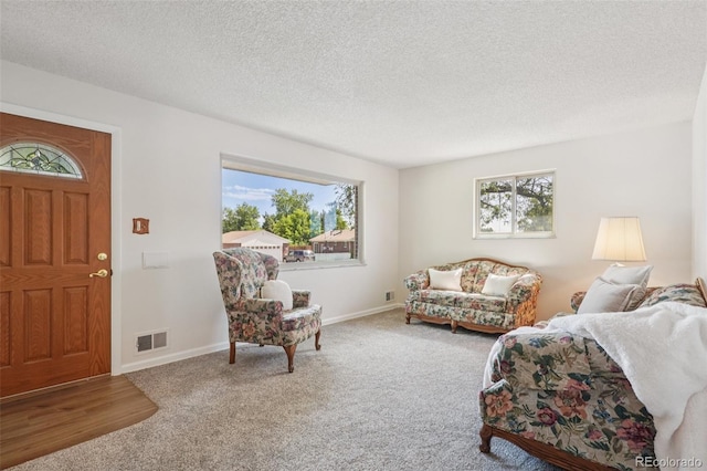 11349 Downing Dr, Northglenn, CO 80233 - living area featuring carpet flooring and a textured ceiling