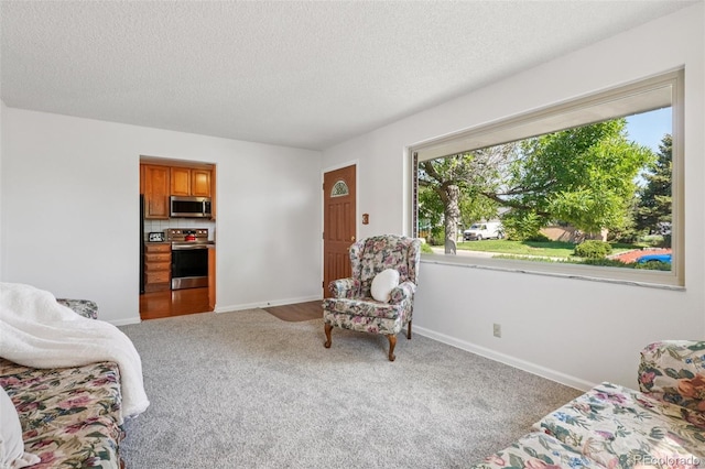 11349 Downing Dr, Northglenn, CO 80233 - carpeted living room with a textured ceiling and baseboards