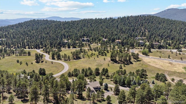 birds eye view of property featuring a mountain view