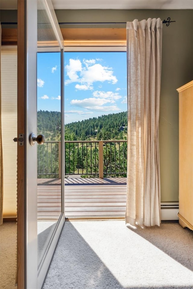 doorway featuring carpet flooring and a wealth of natural light