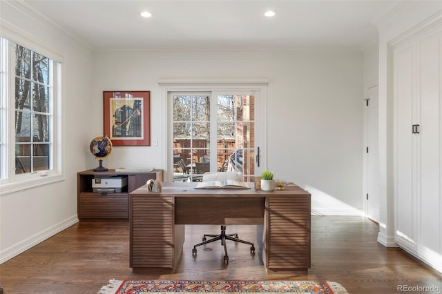 office featuring dark hardwood / wood-style flooring and ornamental molding