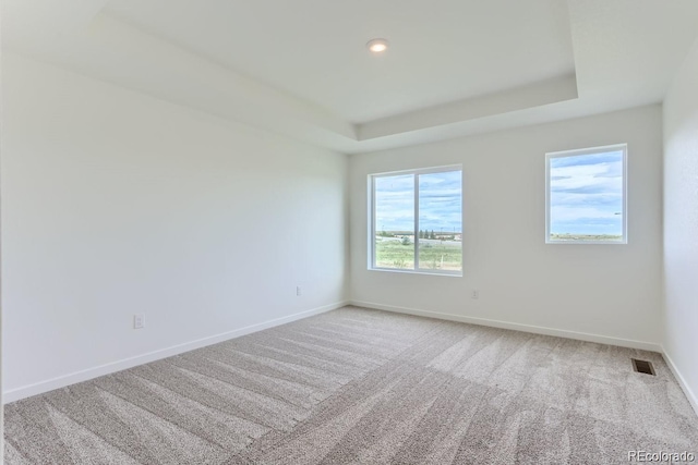 unfurnished room featuring carpet floors and a raised ceiling