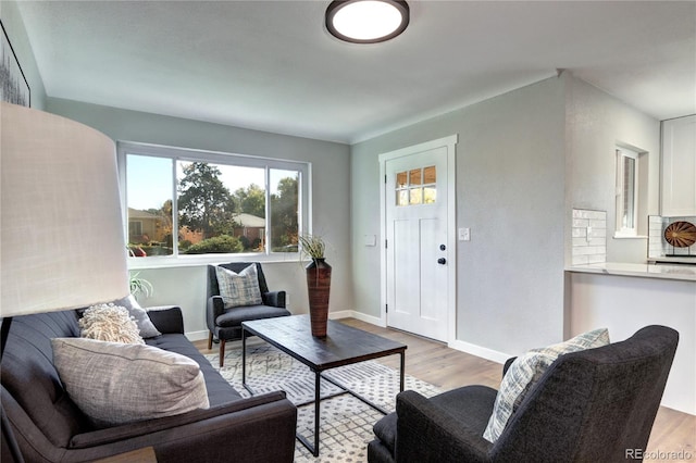 living room featuring light wood-type flooring