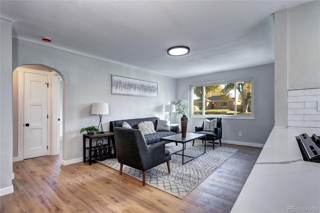 living room featuring hardwood / wood-style flooring