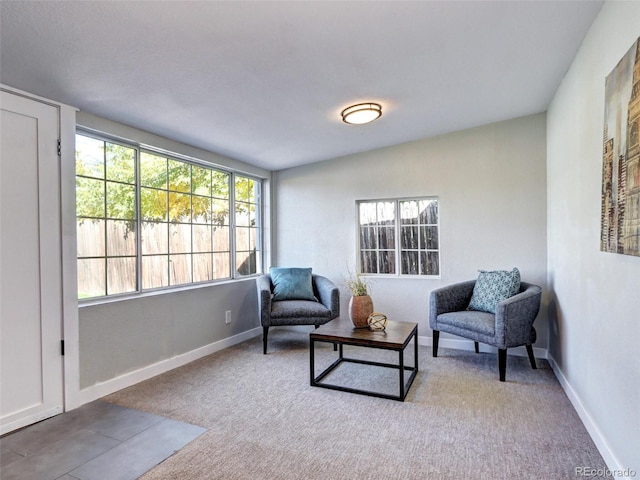 sitting room with baseboards and carpet flooring