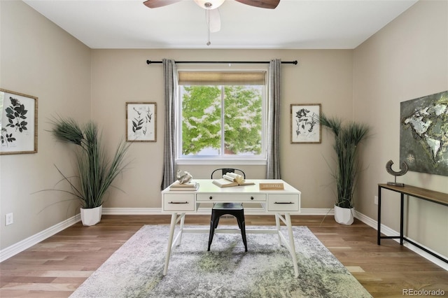 1235 S Balsam St, Lakewood, CO 80232 - office with wood finished floors, a ceiling fan, and baseboards