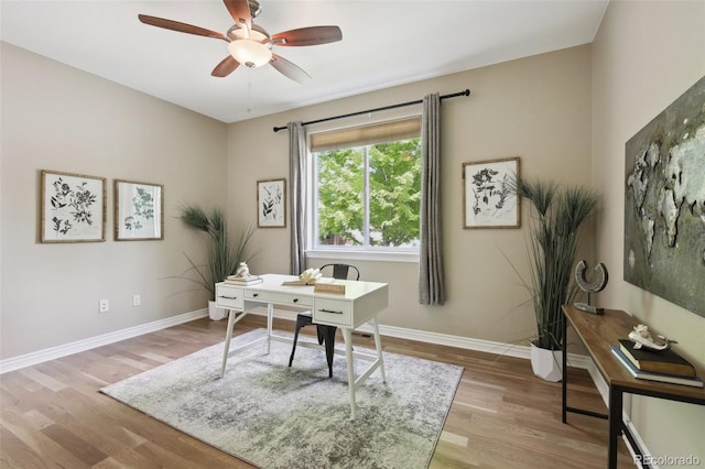1235 S Balsam St, Lakewood, CO 80232 - office with light wood-style floors, a ceiling fan, and baseboards