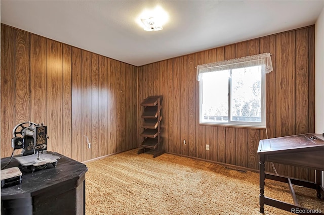 9750 S Warhawk Rd, Conifer, CO 80433 - photo 17