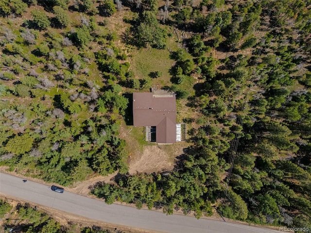 9750 S Warhawk Rd, Conifer, CO 80433 - photo 30
