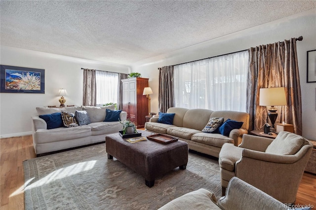 living room with a textured ceiling and hardwood / wood-style flooring