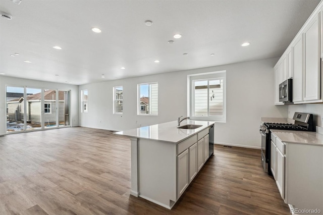 kitchen with wood-type flooring, appliances with stainless steel finishes, a kitchen island with sink, and sink