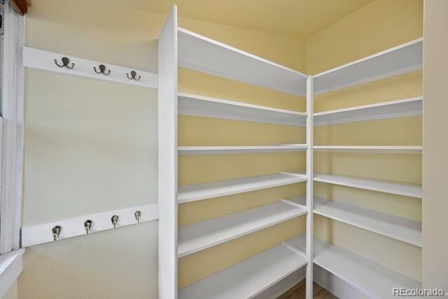321 S Gilpin St, Denver, CO 80209 - view of pantry