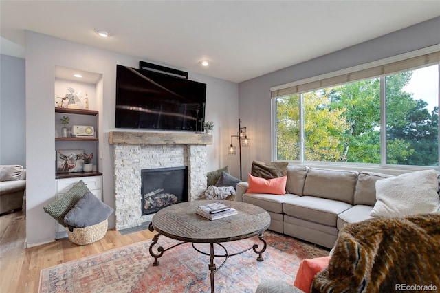 living room featuring a fireplace and light wood-type flooring