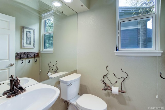 bathroom featuring sink and toilet