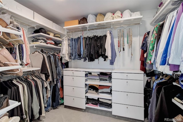 spacious closet featuring light colored carpet