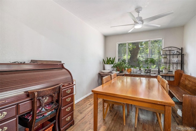 dining area featuring light wood-type flooring and ceiling fan