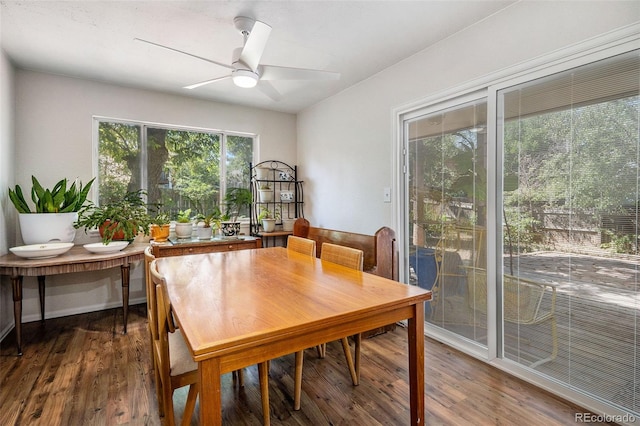 dining area with ceiling fan and wood-type flooring