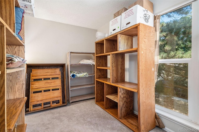 walk in closet featuring carpet flooring