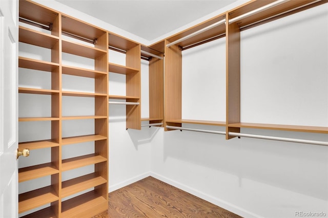 5622 E Weaver Cir, Centennial, CO 80111 - walk in closet with wood finished floors