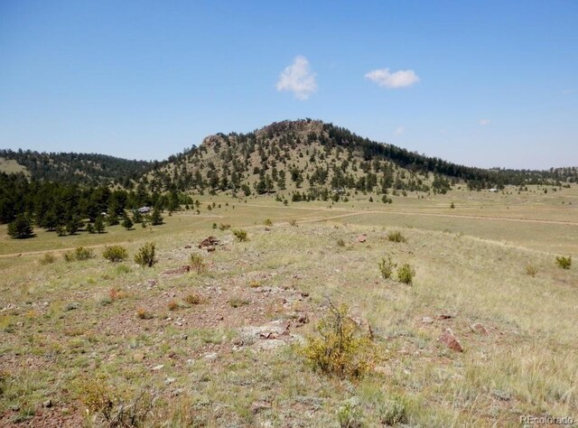 00 Isadowa, Hartsel, CO 80449 - photo 4