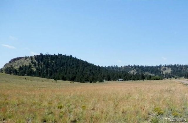 00 Isadowa, Hartsel, CO 80449 - photo 2