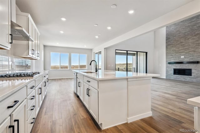 kitchen with wall chimney exhaust hood, light wood-style flooring, stainless steel appliances, a fireplace, and a sink