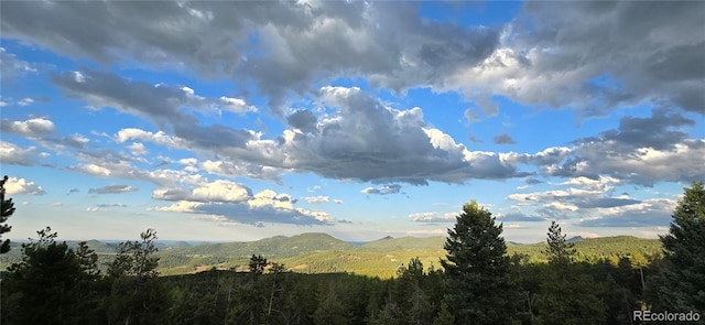 32091 Black Widow Dr, Conifer, CO 80433 - mountain view with a heavily wooded area