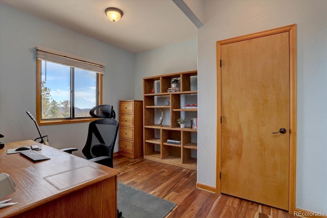 32091 Black Widow Dr, Conifer, CO 80433 - office space with wood finished floors and baseboards