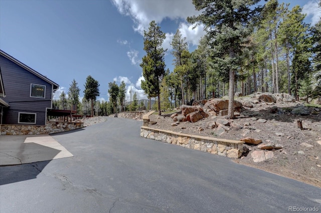 32091 Black Widow Dr, Conifer, CO 80433 - view of asphalt road