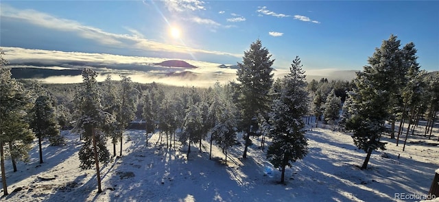 32091 Black Widow Dr, Conifer, CO 80433 - view of mountain background