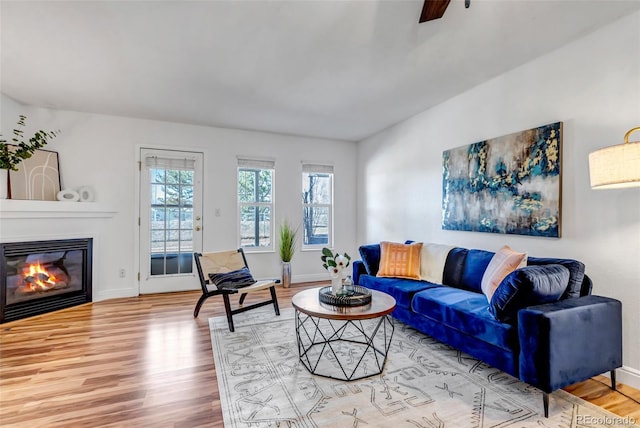 living area with baseboards, wood finished floors, and a glass covered fireplace